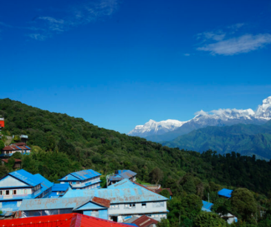 myagdi