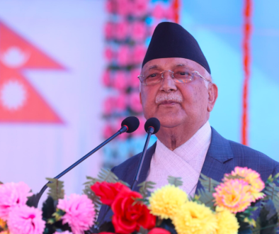 oli terai
