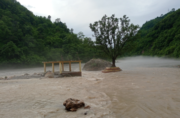 Screenshot 2025-08-03 123019