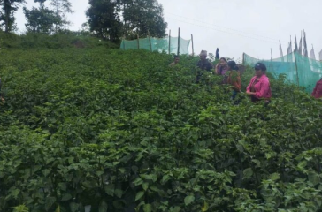 Screenshot 2025-08-07 111922