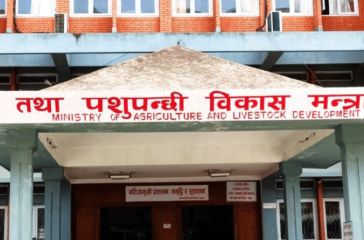 Screenshot 2025-08-10 101729