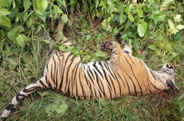 Screenshot 2025-08-10 161845