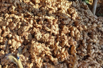 Screenshot 2025-08-13 121659