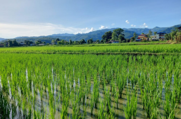 Screenshot 2025-08-17 154723