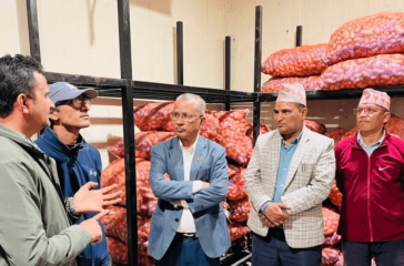 Screenshot 2025-08-20 195411