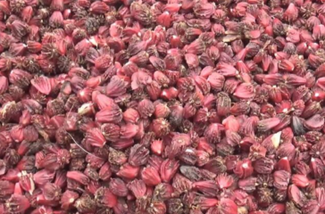 Screenshot 2025-08-22 195407