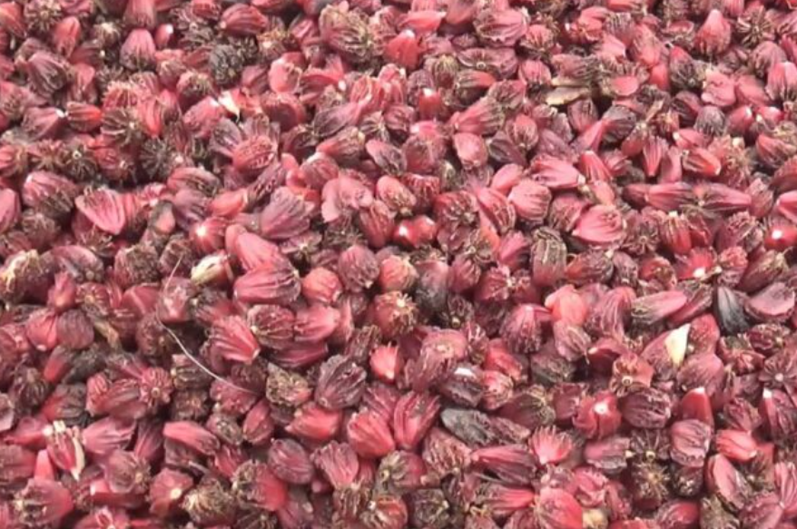 Screenshot 2025-08-22 195407