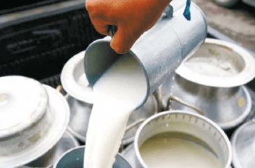 Screenshot 2025-08-25 222806