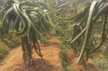 Screenshot 2025-08-28 110537