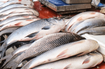 Screenshot 2025-08-29 174223