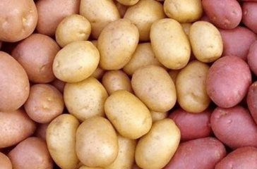 Screenshot 2025-08-29 174507