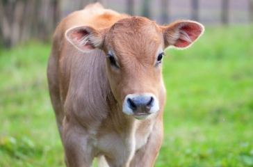 Screenshot 2025-08-31 135353