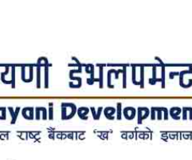 narayani bank