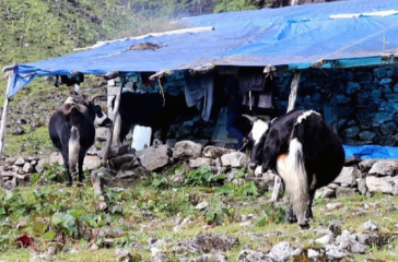 Screenshot 2025-09-01 153801