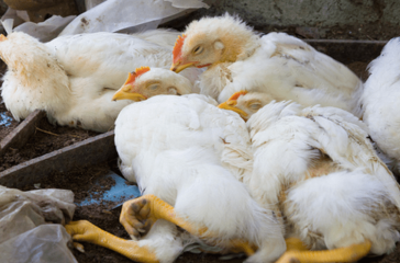 Screenshot 2025-09-03 192623