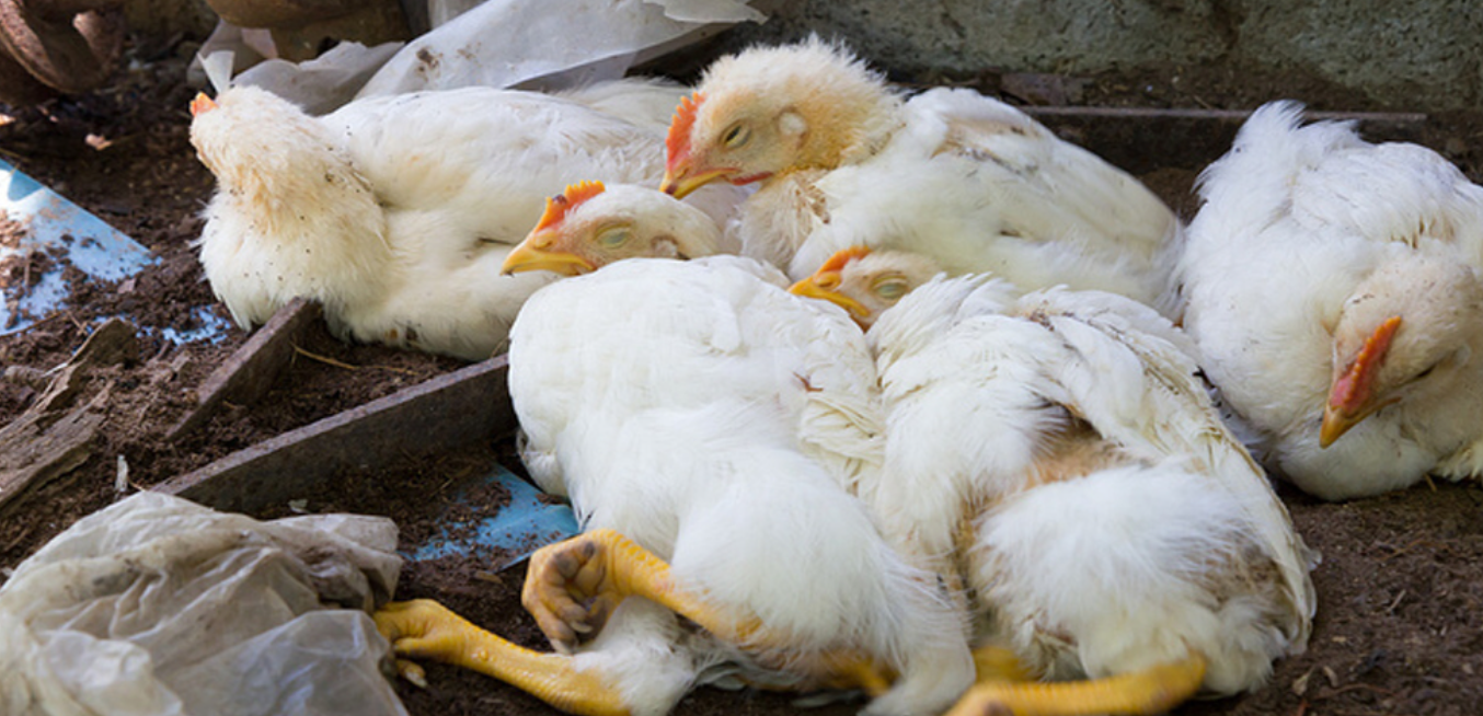 Screenshot 2025-09-03 192623