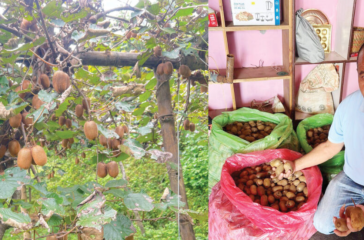 Screenshot 2025-09-03 194011