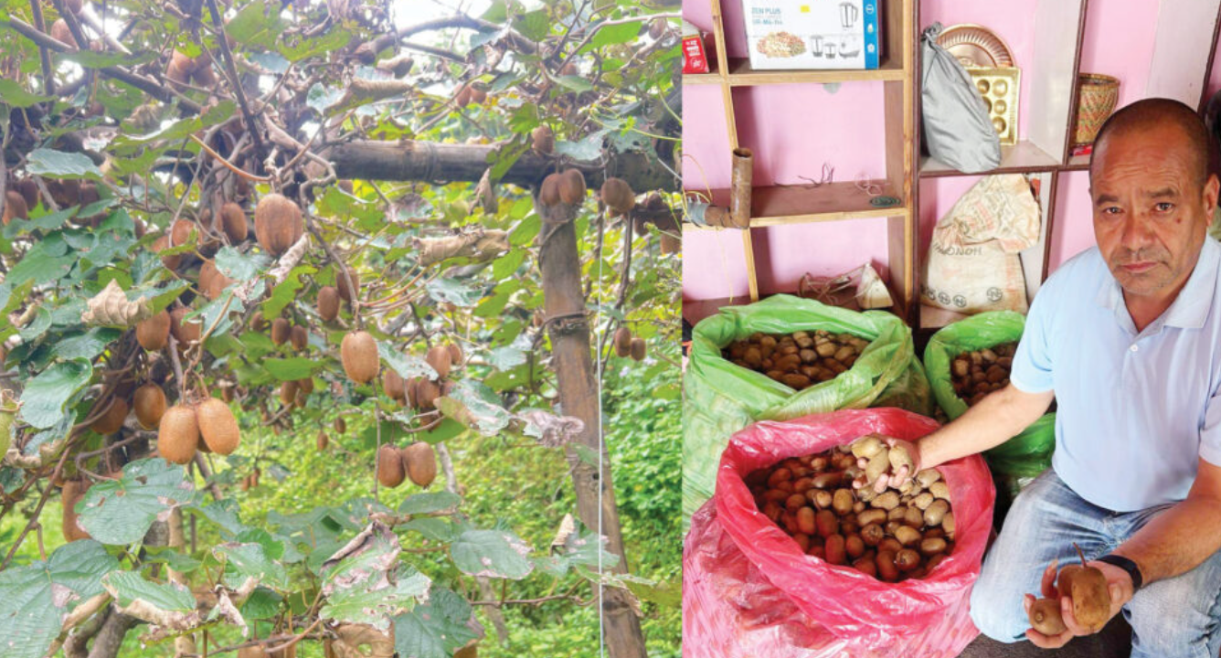 Screenshot 2025-09-03 194011