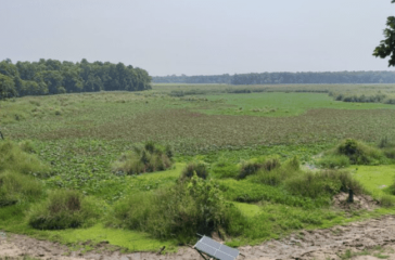 Screenshot 2025-09-03 203838