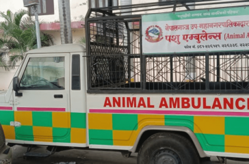 Screenshot 2025-09-05 165932