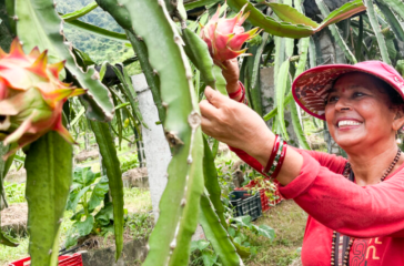 Screenshot 2025-09-05 200418