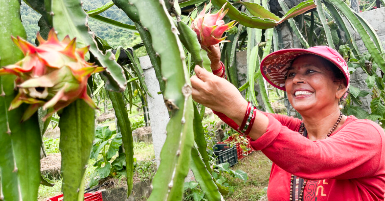 Screenshot 2025-09-05 200418