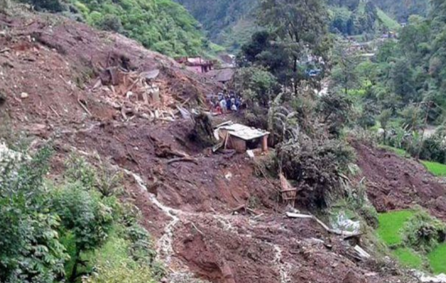 Screenshot 2025-09-10 133429