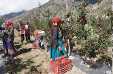 Screenshot 2025-09-11 110100