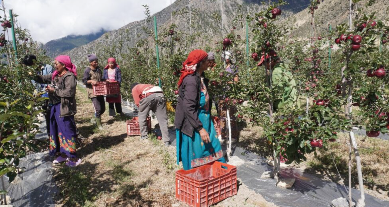 Screenshot 2025-09-11 110100