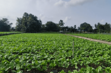 Screenshot 2025-09-11 110552