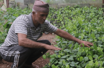 Screenshot 2025-09-14 105936