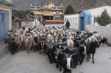 Screenshot 2025-09-14 195545