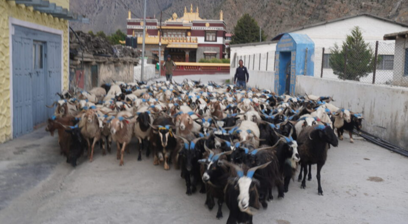 Screenshot 2025-09-14 195545