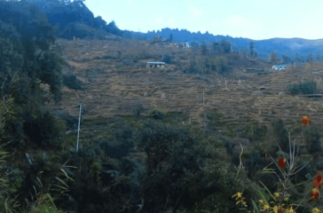 Screenshot 2025-09-21 103017