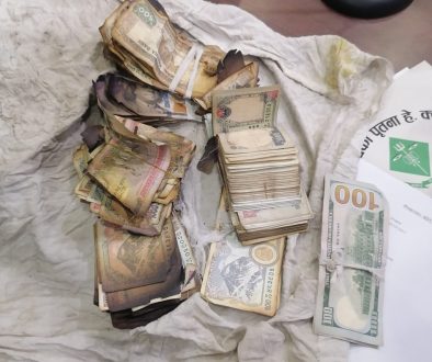 bhatbhatini money