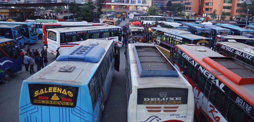 bus bus