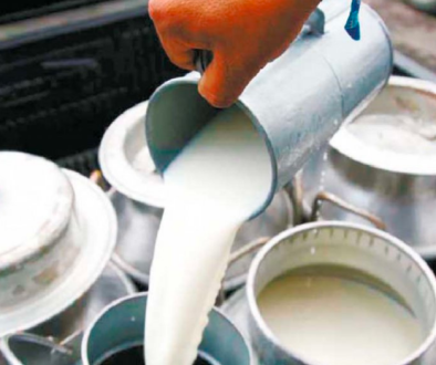 milk can