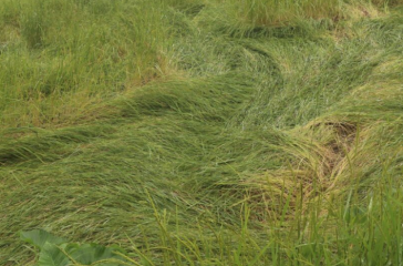 Screenshot 2025-10-12 133249