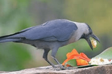 Screenshot 2025-10-19 085352