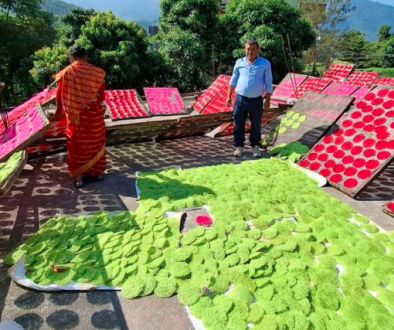 palpa jhiniya