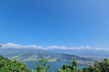 9542349d-c899-4533-b114-846e5989e881