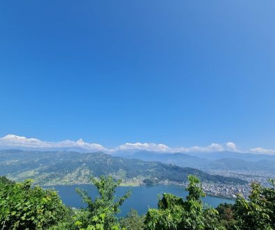 9542349d-c899-4533-b114-846e5989e881