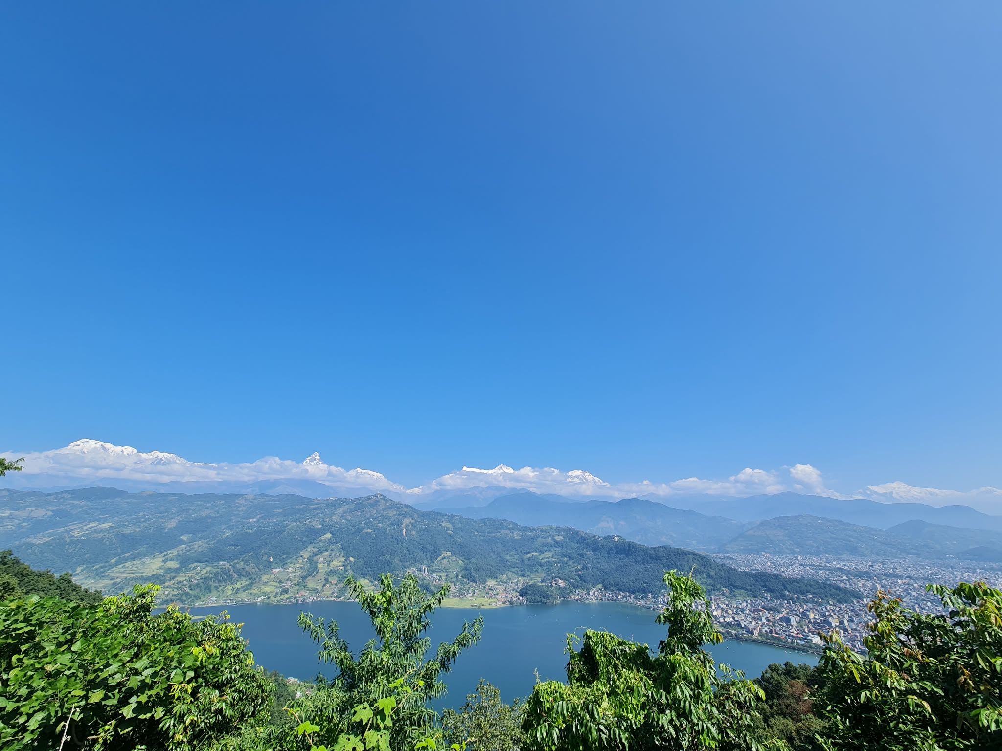 9542349d-c899-4533-b114-846e5989e881