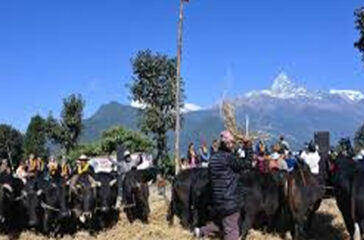 DaiMahosaba