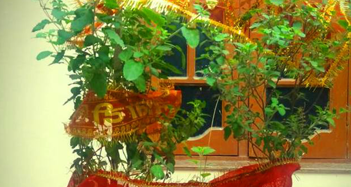 Screenshot 2025-11-01 190411 Screenshot 2025-11-01 190411