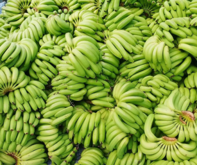 Screenshot 2025-11-02 140116