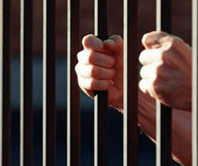 Screenshot 2025-11-03 114247