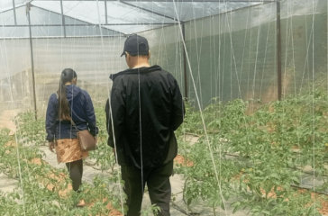 Screenshot 2025-11-11 074903