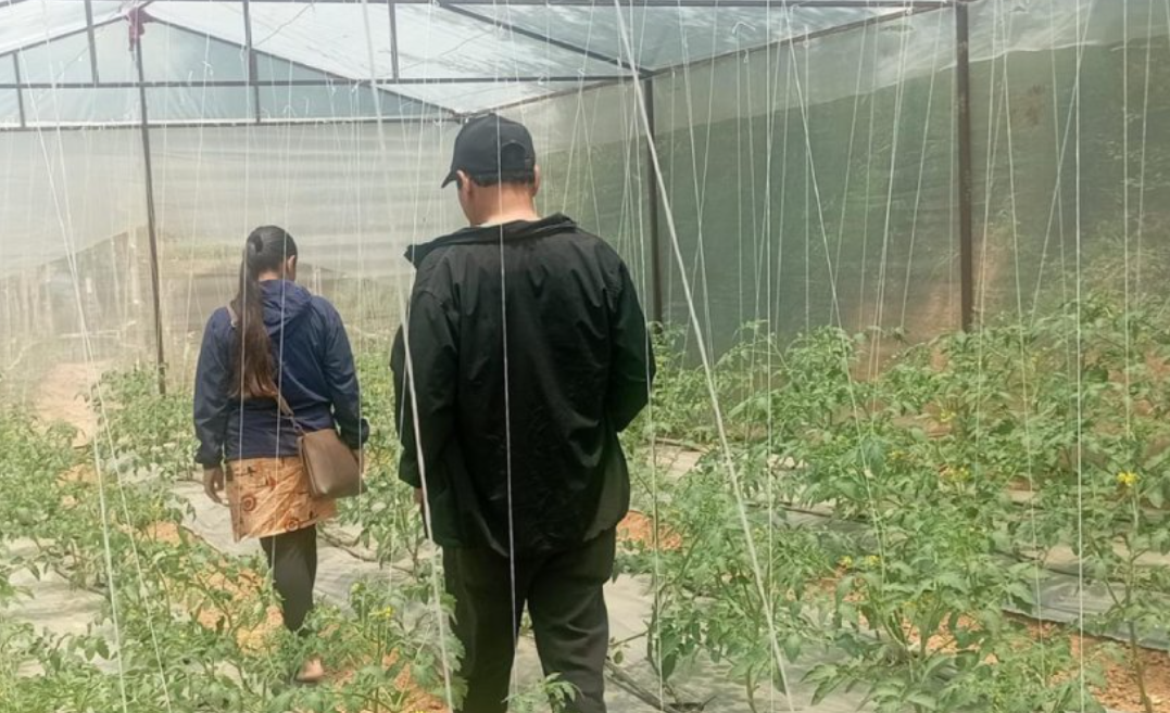 Screenshot 2025-11-11 074903