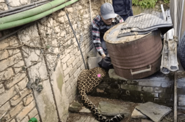 Screenshot 2025-11-11 153153